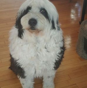 Meet your Posher, Abbie